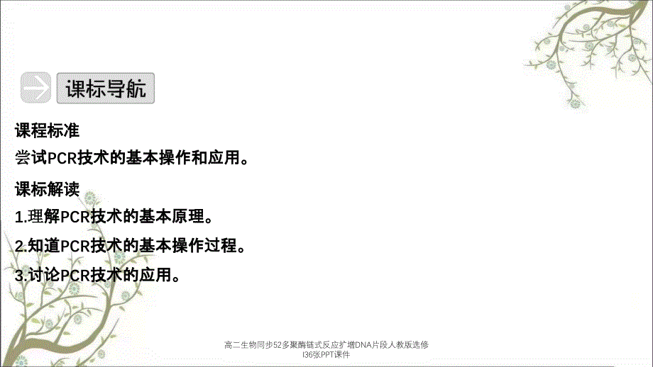 高二生物同步52多聚酶链式反应扩增DNA片段人教版选修I36张PPT课件_第3页