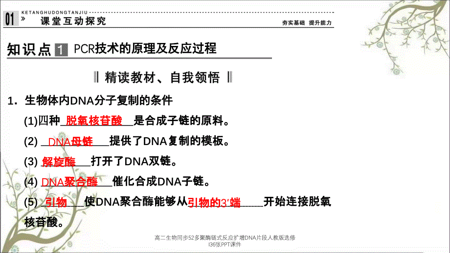 高二生物同步52多聚酶链式反应扩增DNA片段人教版选修I36张PPT课件_第4页