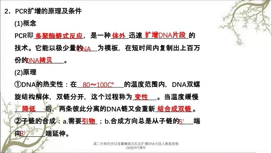 高二生物同步52多聚酶链式反应扩增DNA片段人教版选修I36张PPT课件_第5页