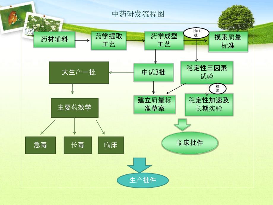 中药新药研发流程基础知识_第4页