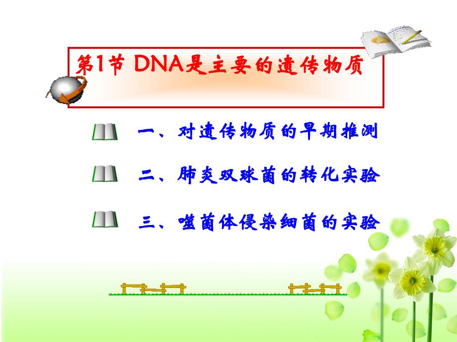 DNA是主要的遗传物质课件ppt2_第2页