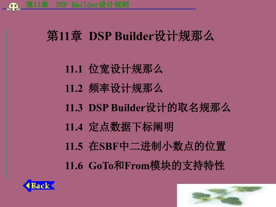 第11章DSBuilder设计规则02ppt课件_第1页