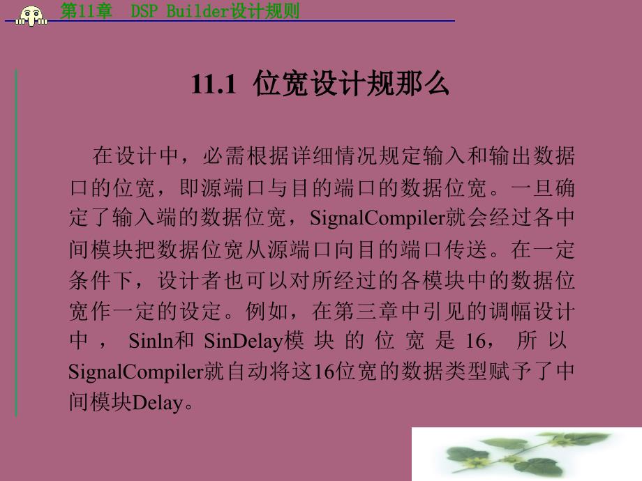 第11章DSBuilder设计规则02ppt课件_第2页