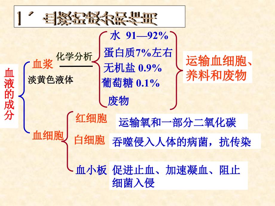 浙教版九上生物第4章代谢与平衡第3节体内物质的运输_第4页