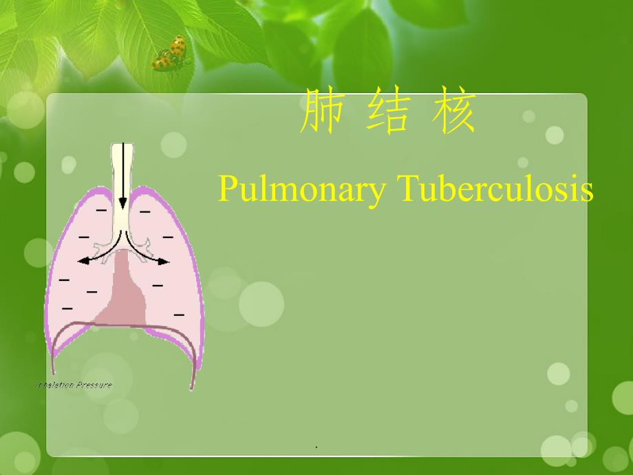 TB课肺结核最新_第1页