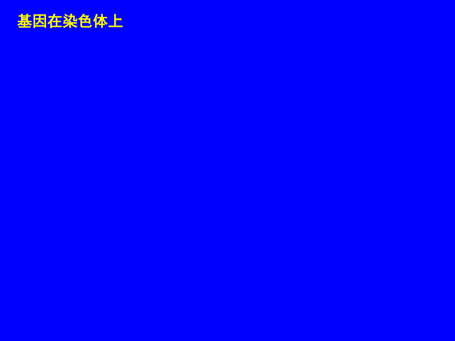 小专题10伴性遗传及人类遗传病_第2页