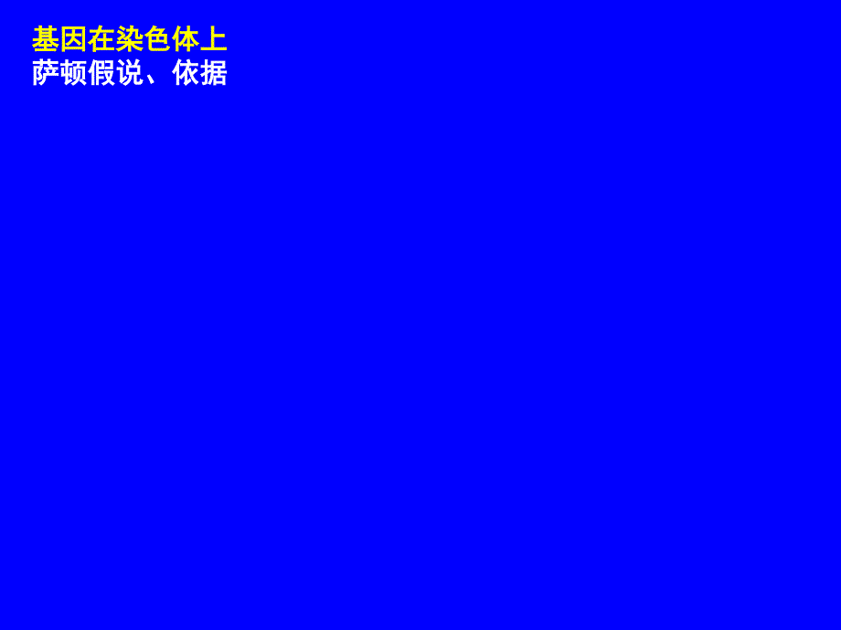 小专题10伴性遗传及人类遗传病_第3页