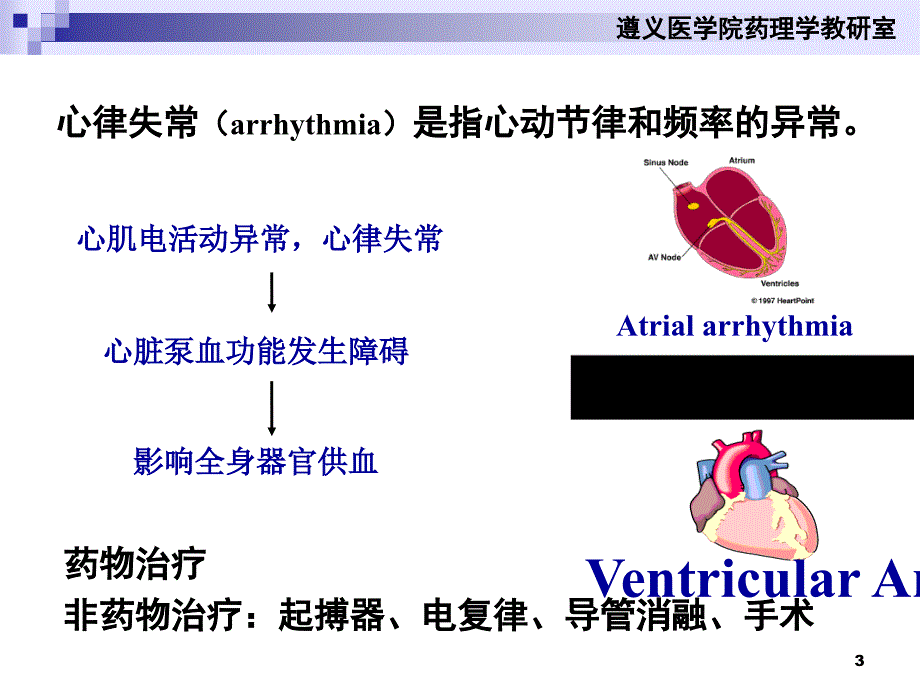 抗心律失常药杨丹莉_第3页