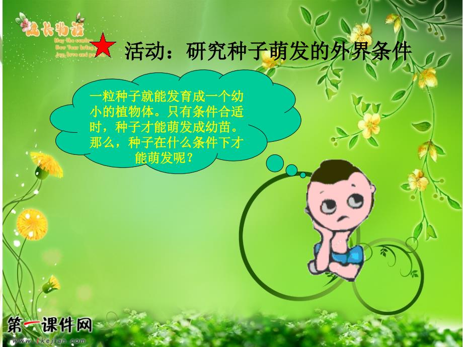 小苗的诞生PPT课件_第2页