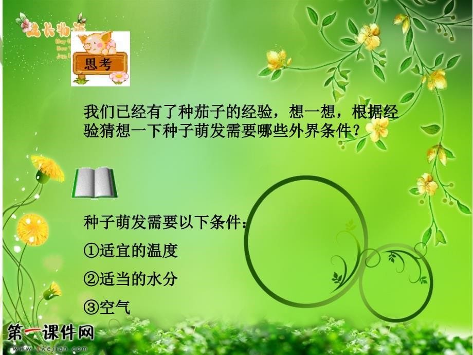 小苗的诞生PPT课件_第5页