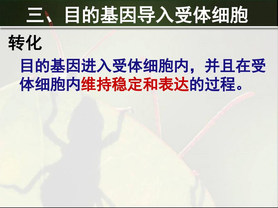 上海培训机构上海最好的培训机构上海高中补习班_第3页