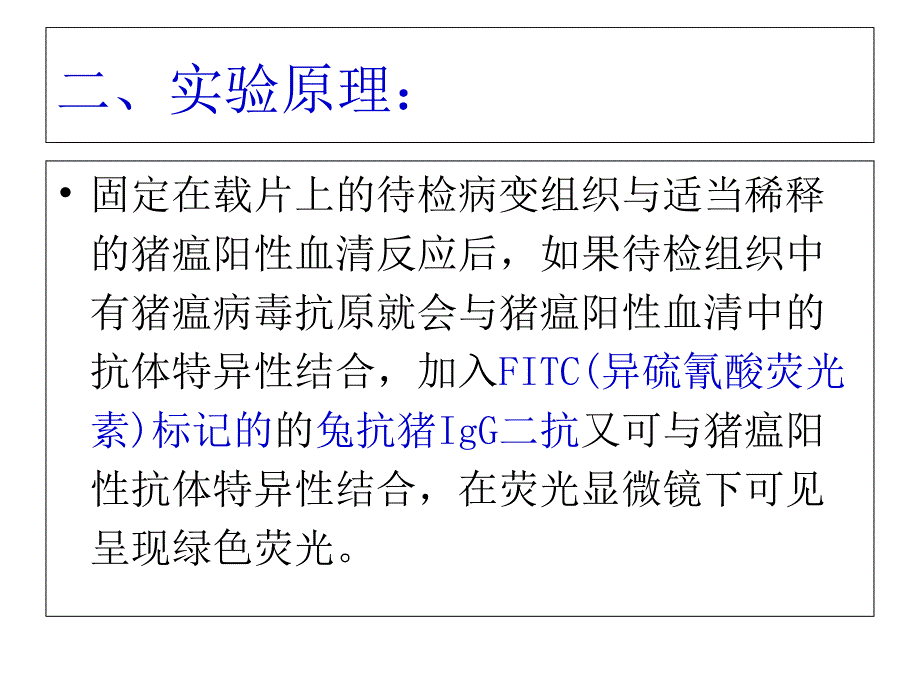 猪瘟的间接免疫荧光实验_第4页