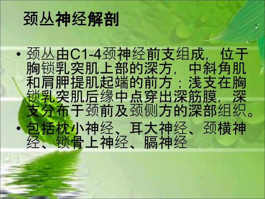 臂丛颈丛神经阻滞麻醉_第2页