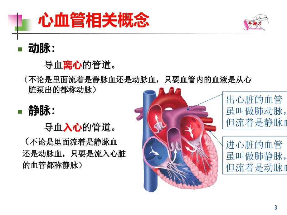 高血压性心脏病的超声诊断要点[定稿]_第3页