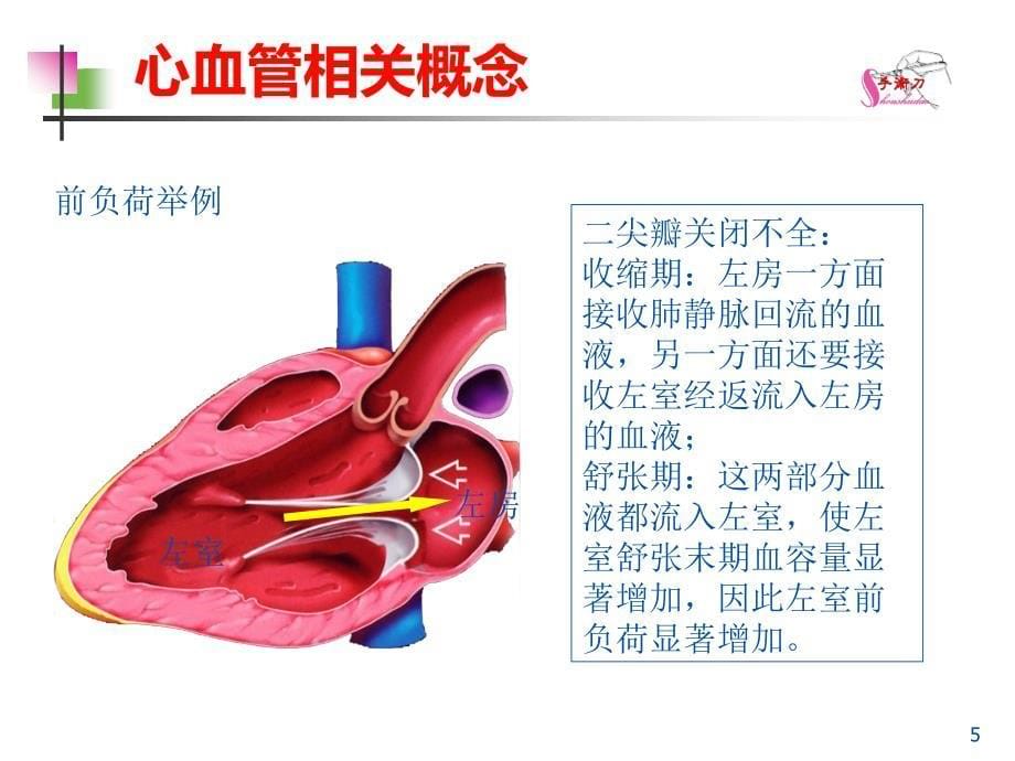 高血压性心脏病的超声诊断要点[定稿]_第5页