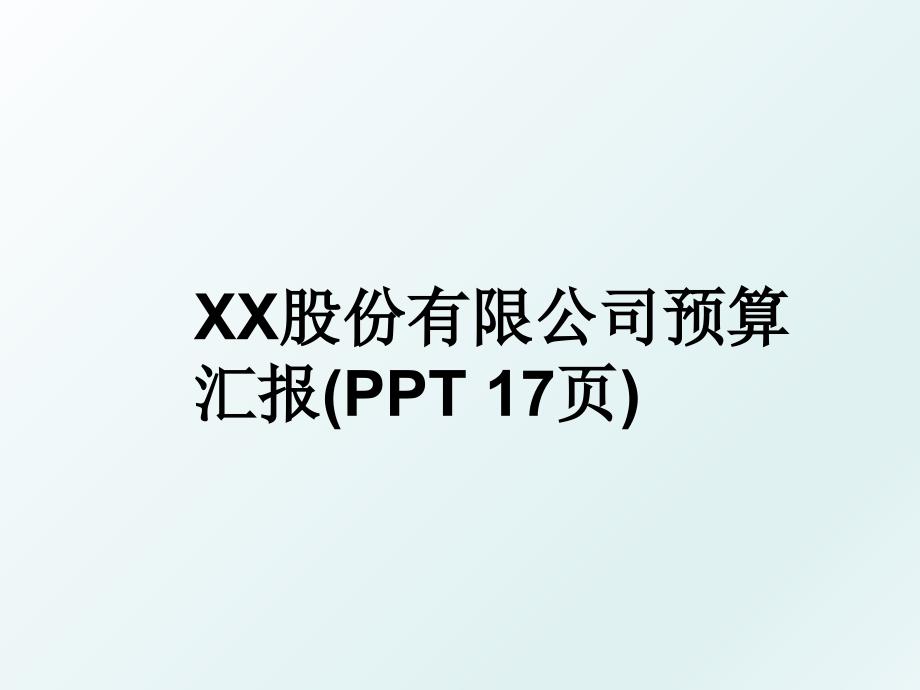 XX股份有限公司预算汇报PPT17页_第1页