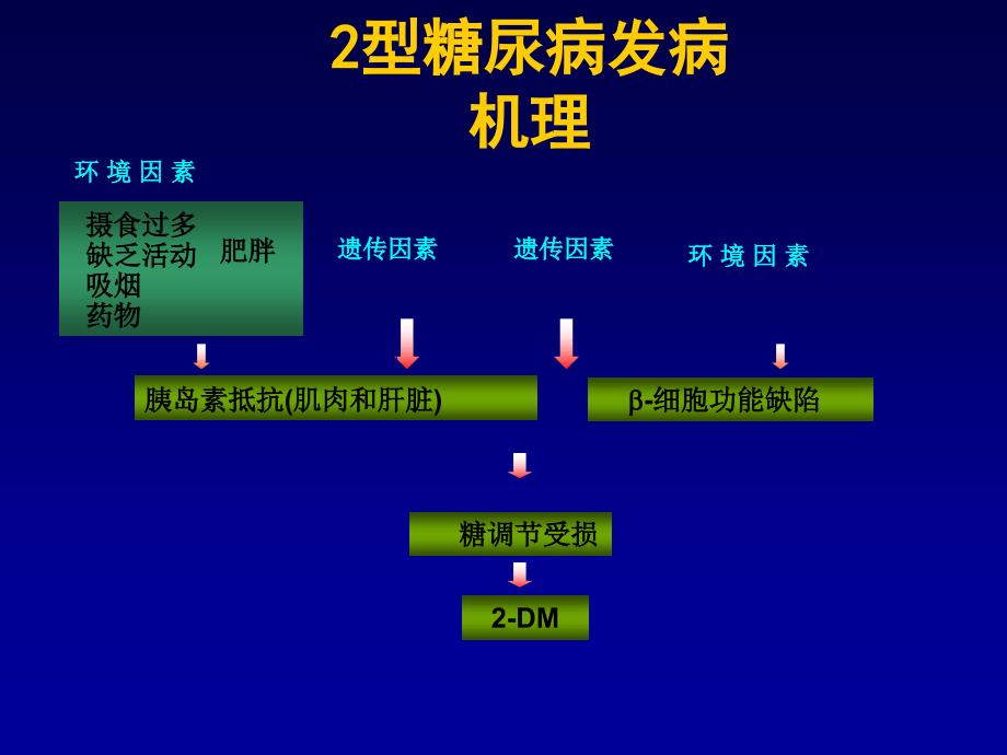 糖尿病康复治疗与评定.ppt_第4页