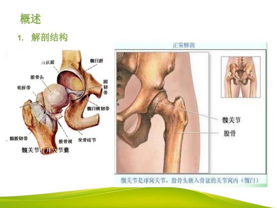 髋关节术后护理及康复训练_第3页