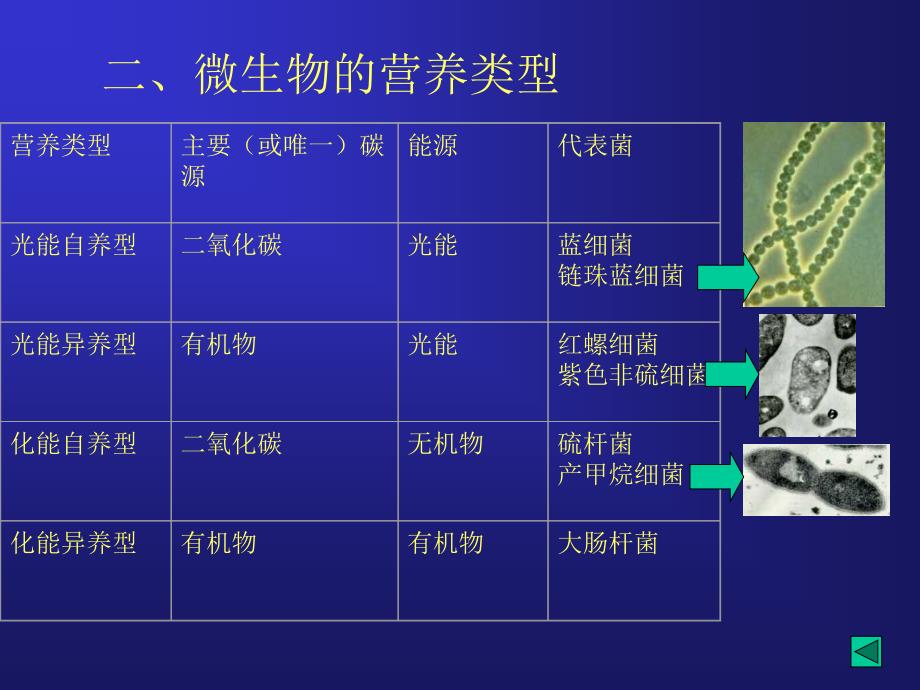 二章微生物的营养和代谢_第4页