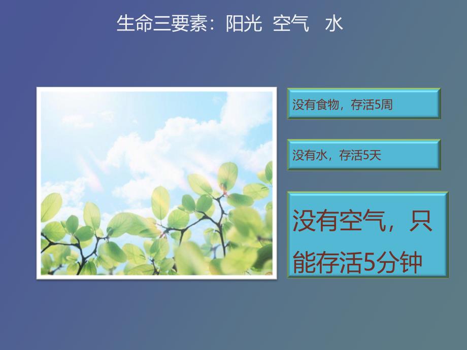 空气的重要性_第2页