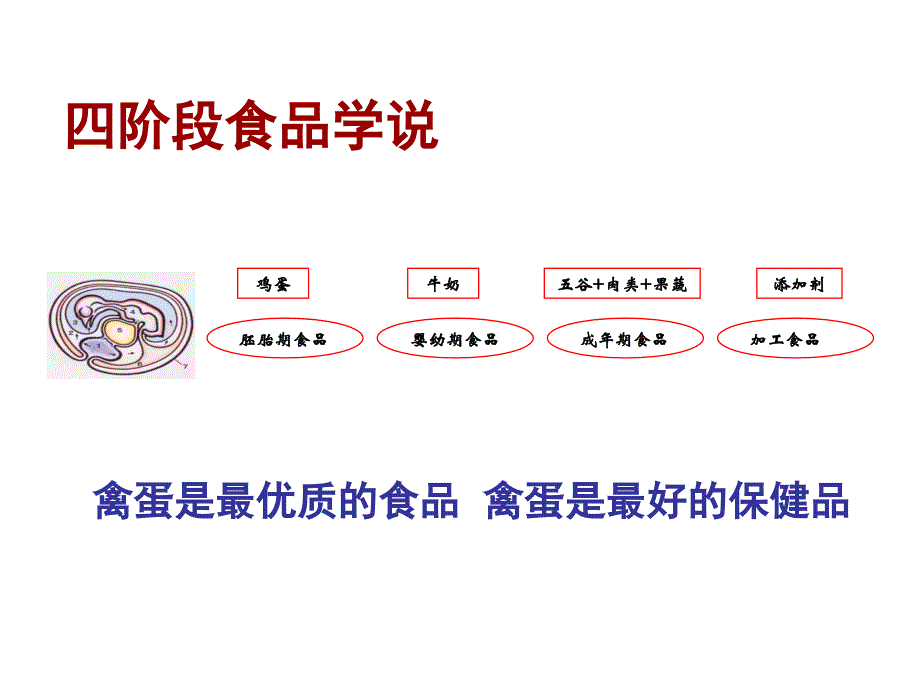 蛋的构造加工及特性_第3页