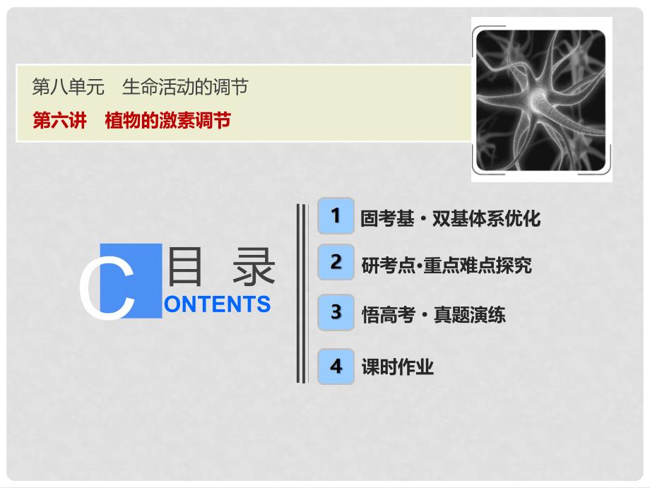 高考生物一轮复习 第八单元 生命活动的调节 第六讲 植物的激素调节课件 苏教版_第1页