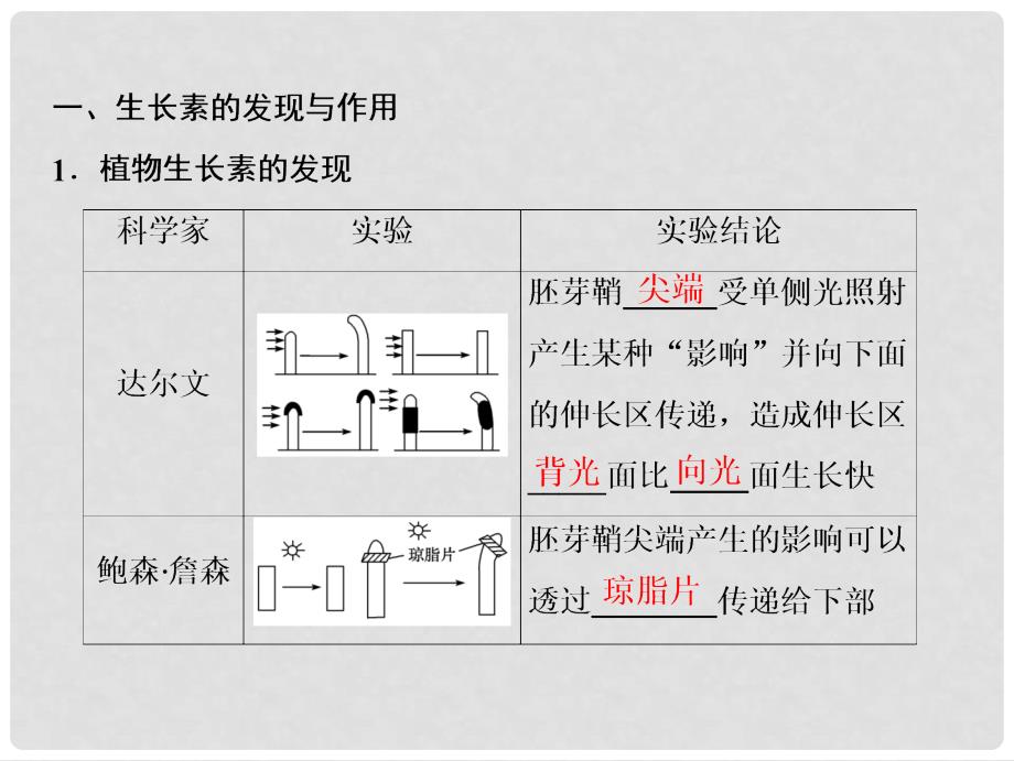 高考生物一轮复习 第八单元 生命活动的调节 第六讲 植物的激素调节课件 苏教版_第4页