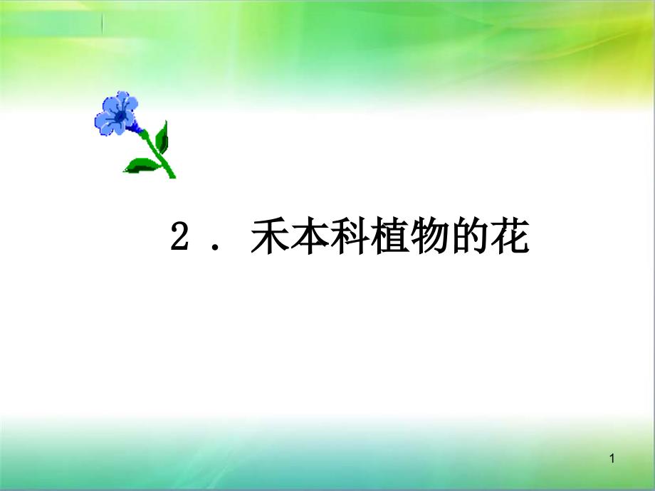 禾本科植物的花课堂PPT_第1页