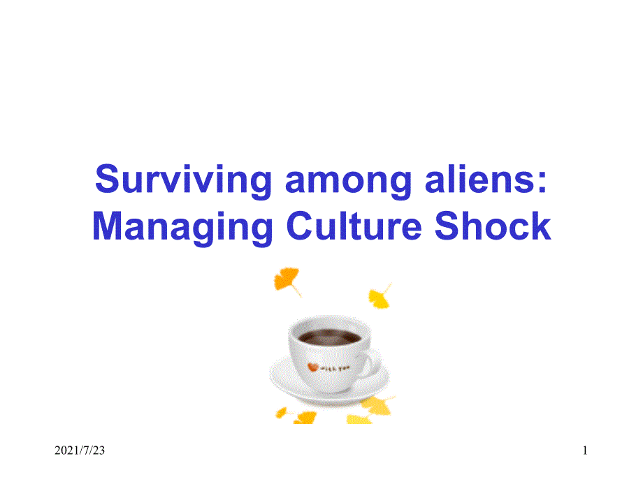 cultureshock跨文化交际PPT课件_第1页