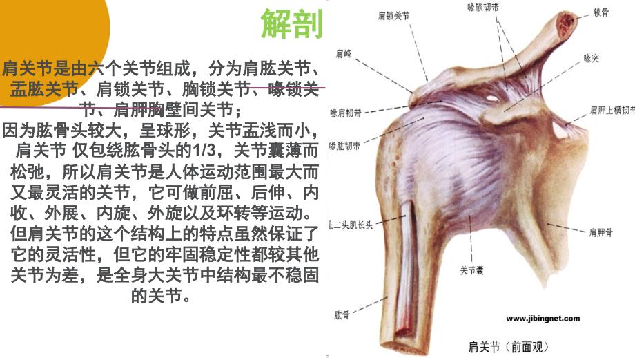 人工肩关节置换术手术配合庞春艳彭姗姗.ppt_第4页