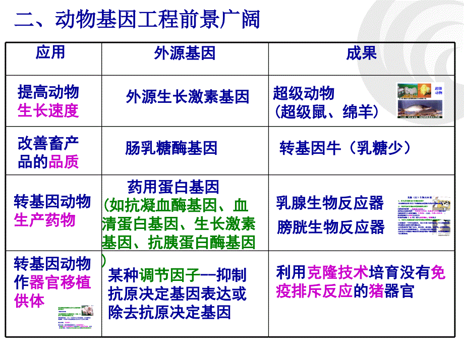 专题11.3基因工程的应用_第3页