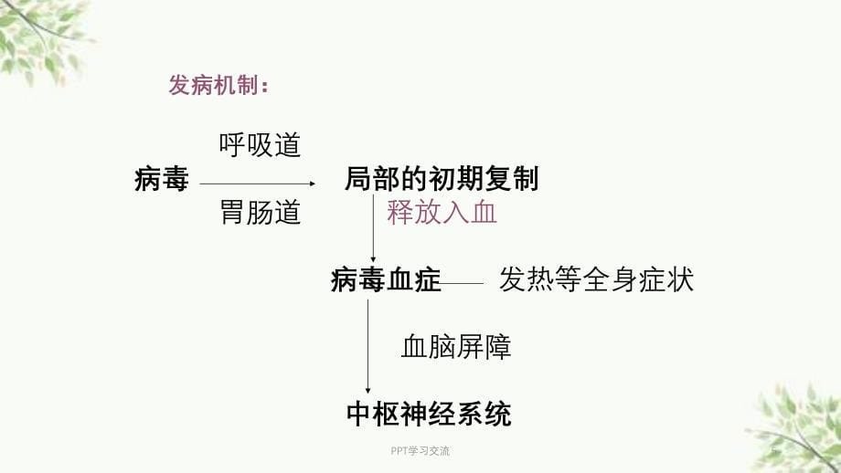 病毒性脑炎ppt课件_第5页