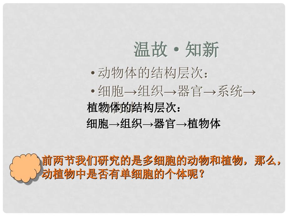 内蒙古巴彦淖尔市临河区第四中学七年级生物上册 只有一个细胞的生物体课件 新人教版_第1页