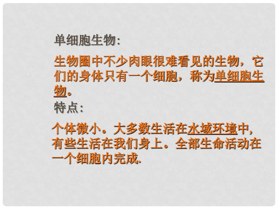 内蒙古巴彦淖尔市临河区第四中学七年级生物上册 只有一个细胞的生物体课件 新人教版_第3页