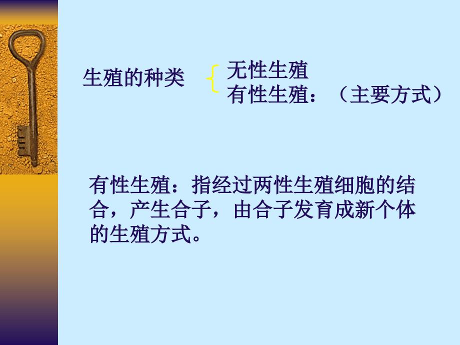 高一生物减数分裂和受精作用课件_第2页