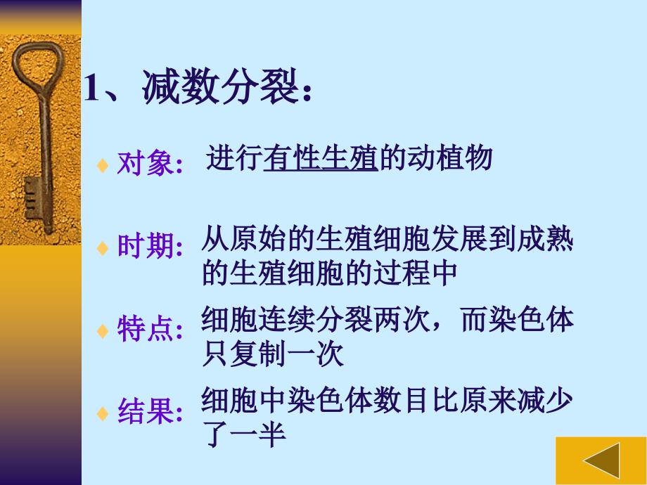 高一生物减数分裂和受精作用课件_第3页