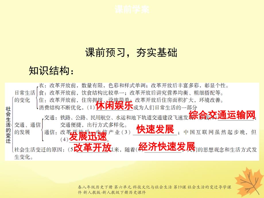 最新八年级历史下册第六单元科技文化与社会生活第19课社会生活的变迁导学_第3页