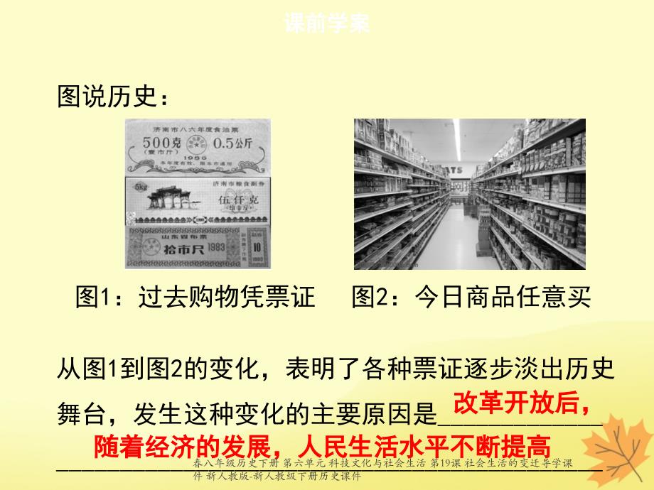 最新八年级历史下册第六单元科技文化与社会生活第19课社会生活的变迁导学_第4页