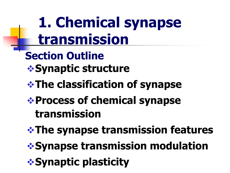 Interaction between neurons_第2页