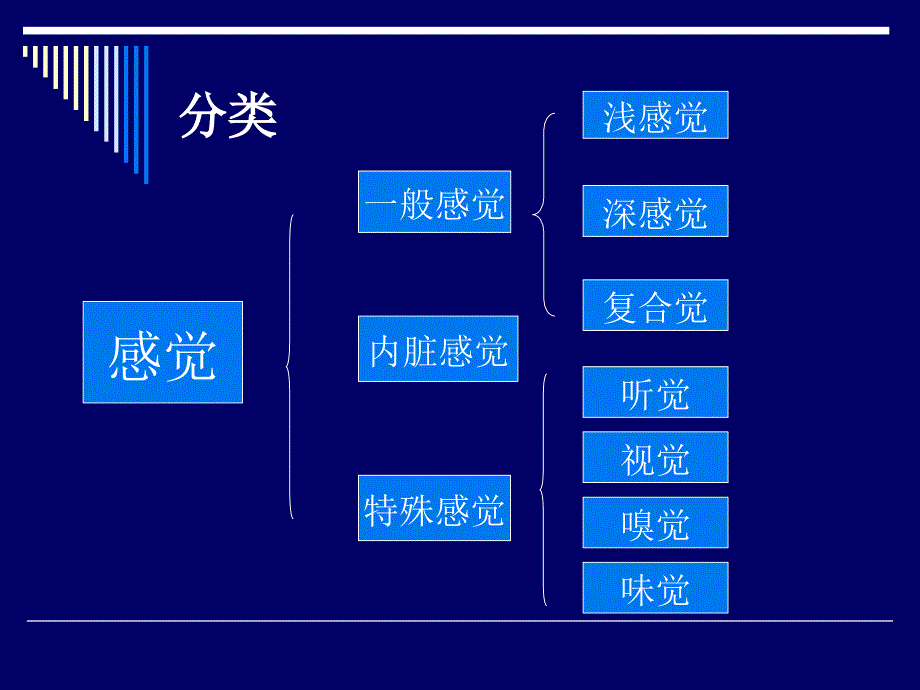 九版神经病学2感觉系统6_第4页