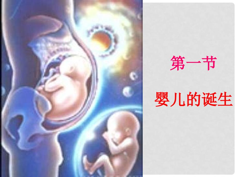 山东省东营市河口区实验学校八年级生物上册 4.1.婴儿的诞生课件 济南版_第1页