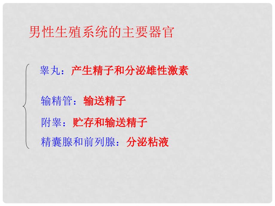 山东省东营市河口区实验学校八年级生物上册 4.1.婴儿的诞生课件 济南版_第3页