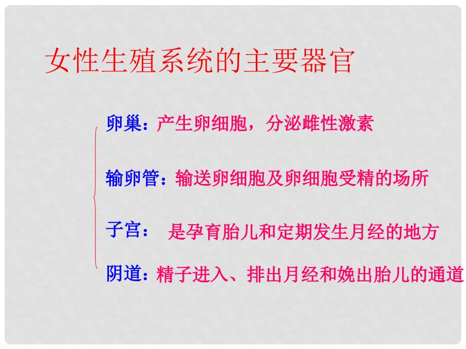 山东省东营市河口区实验学校八年级生物上册 4.1.婴儿的诞生课件 济南版_第4页