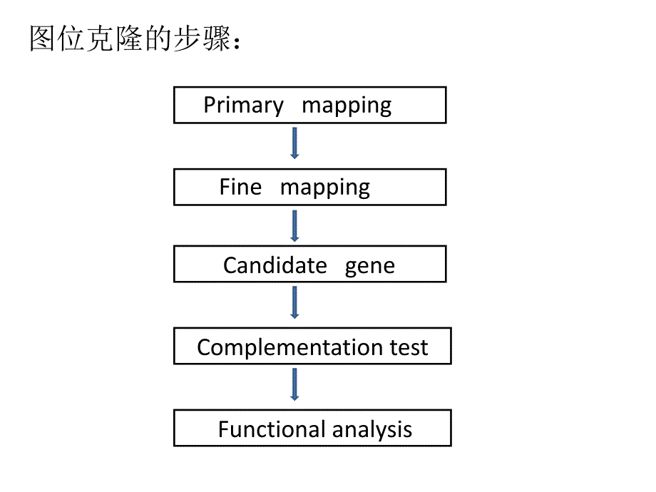 图位克隆的基本原理和方法1_第3页