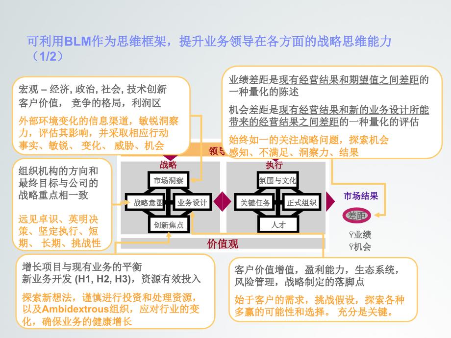 华为管理团队业务领先模型BLM模型课件_第3页