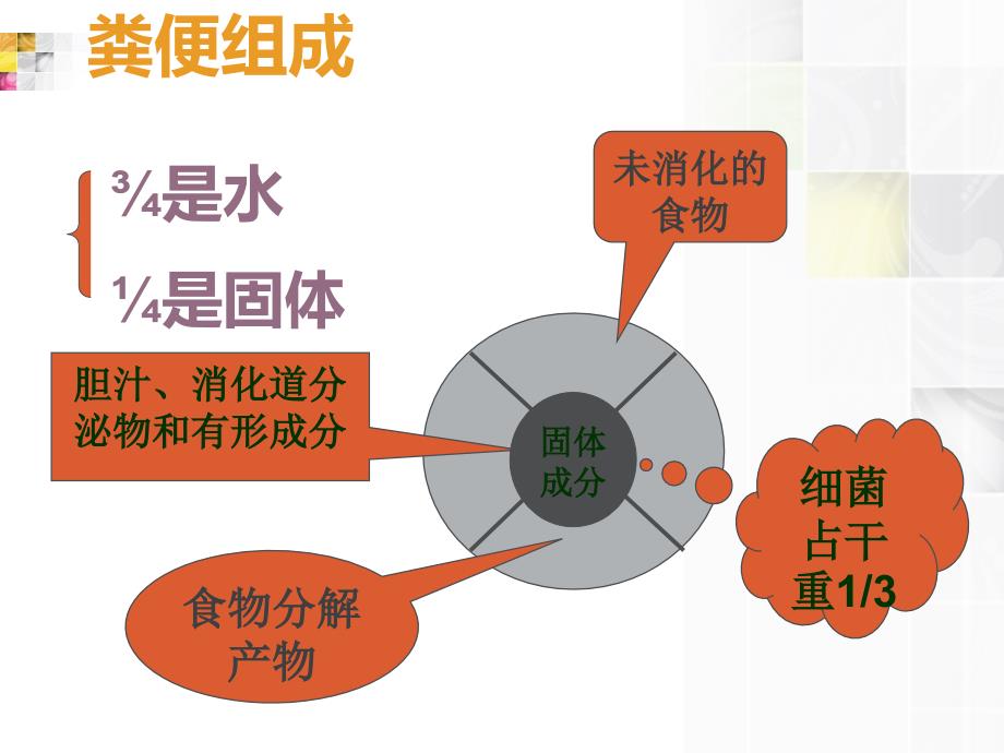 《粪便检查》PPT课件_第2页