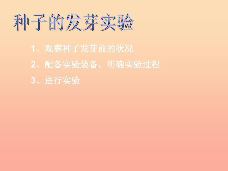 2022年五年级科学上册1.1种子发芽实验一课件2教科版_第5页