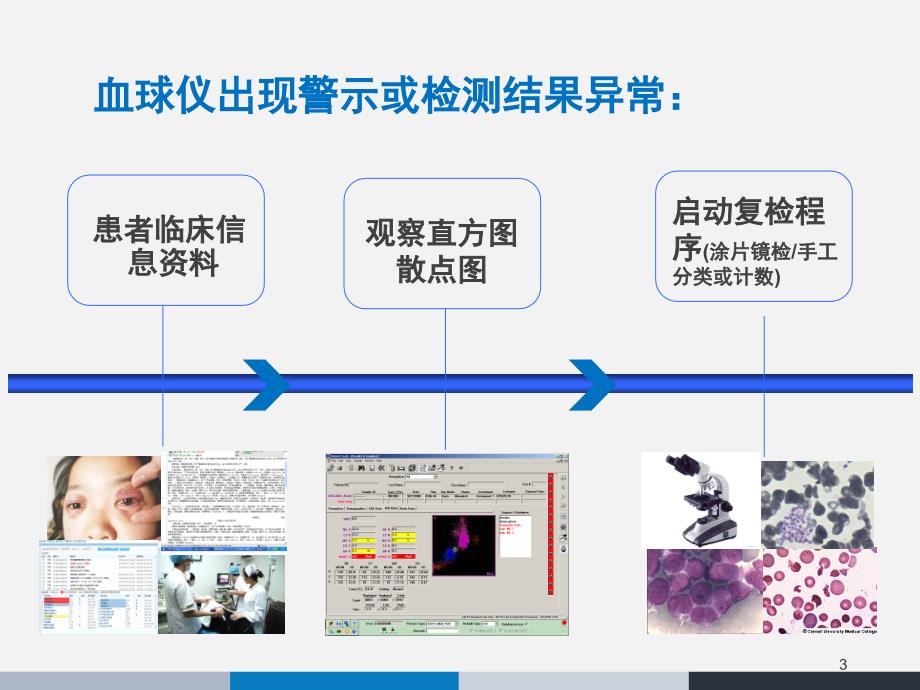 会议讨论ICSHPPT课件_第3页