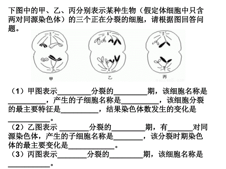 高中生物分离定律题型_第1页