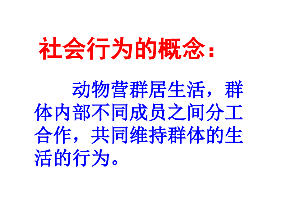 八年级生物上册生物第二章第三节社会行为课件人教版_第3页